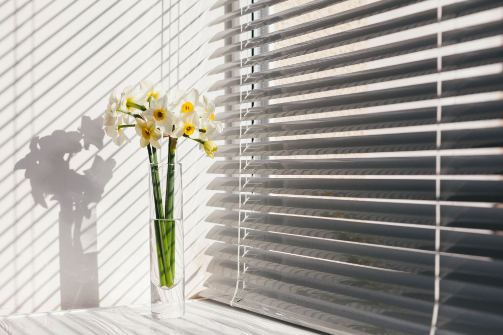 Zebra Blinds in Bangalore