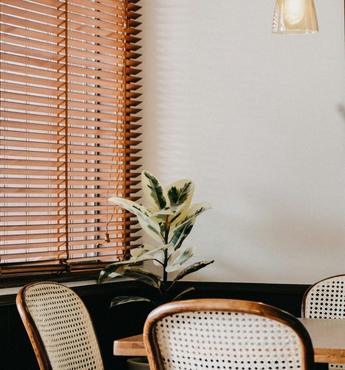 pexels-thanh-luu-29104820-11149437